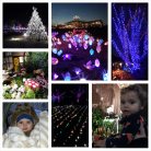 Christmas fun